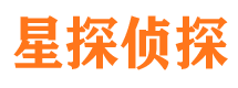 岱山侦探公司